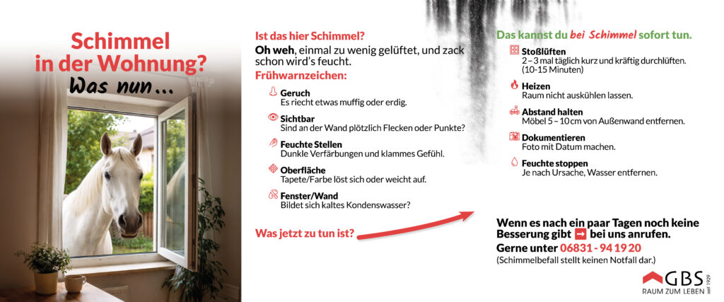 Schimmel in der Wohnung? Was nun ... Frühwarnzeichen und was zu tun ist.